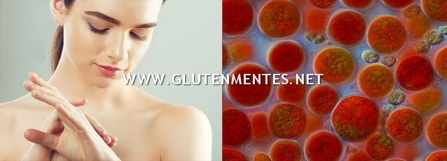YiYa Astaxanthin & Ceramide nyugtató és regeneráló arckrém – 100% natúrkrém - bőr mélyrétegű regenerációjáért! 50ml