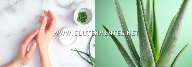 YiYa Aloe Vera gél - 100% natúrgél - az általános bőrvédelemért, mélyrétegű hidratáltságért! 100ml