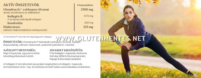 YiYa 2-es típusú Kollagén Hialuronsav komplex - porc-, ízületvédő, hidratáló komplex! 120db